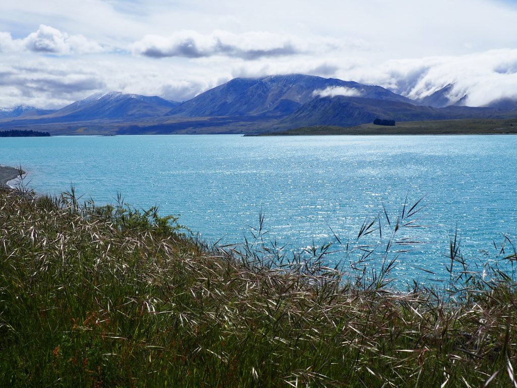 Türkises Wasser am Lake Tekapo.